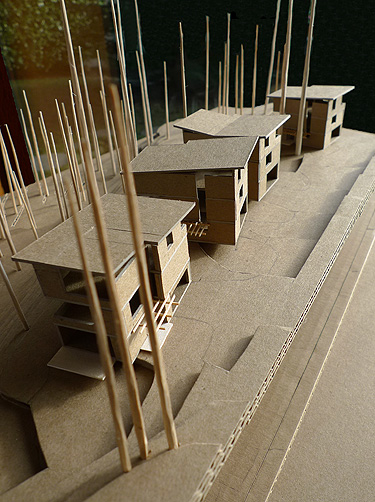 Richards Ridge PUD Site Model