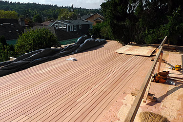 SH Studio Roof Decking Ceiling