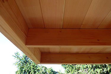 SH Studio Roof Decking Ceiling